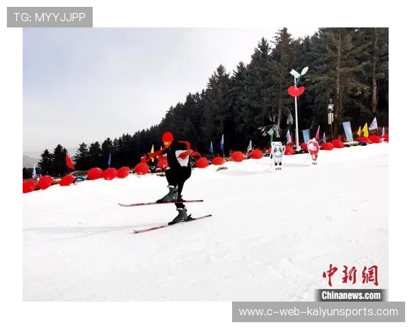 冰雪运动学院推进少儿滑雪教学的地区合作与资源共享，滑雪学校简介